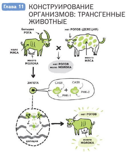 Genetics_2021_page_2.jpg